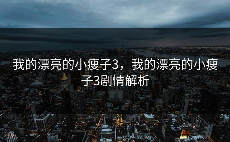 我的漂亮的小瘦子3，我的漂亮的小瘦子3剧情解析